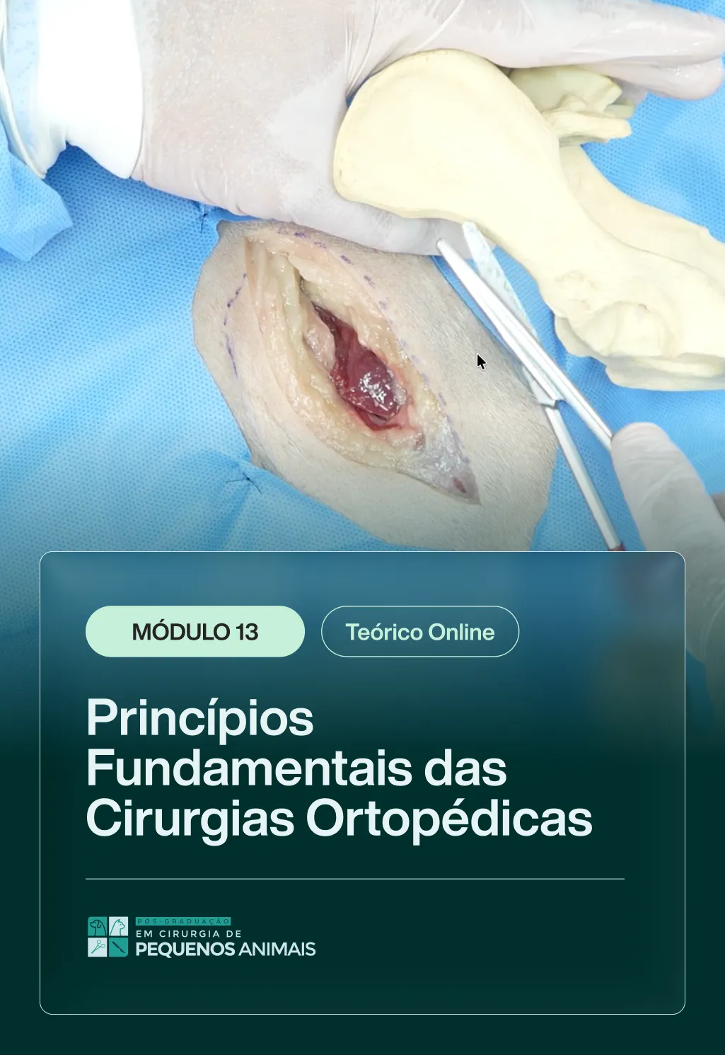 MODULO 13 [TEORICO] - PÓS_3