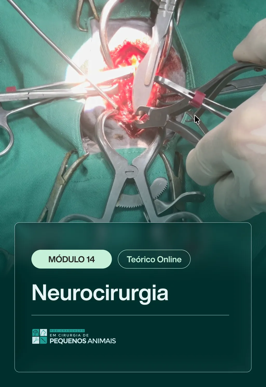 MODULO 14 [TEORICO] - PÓS_4